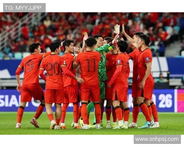 世界杯激战瑞典队中国足球的挑战与机遇分析